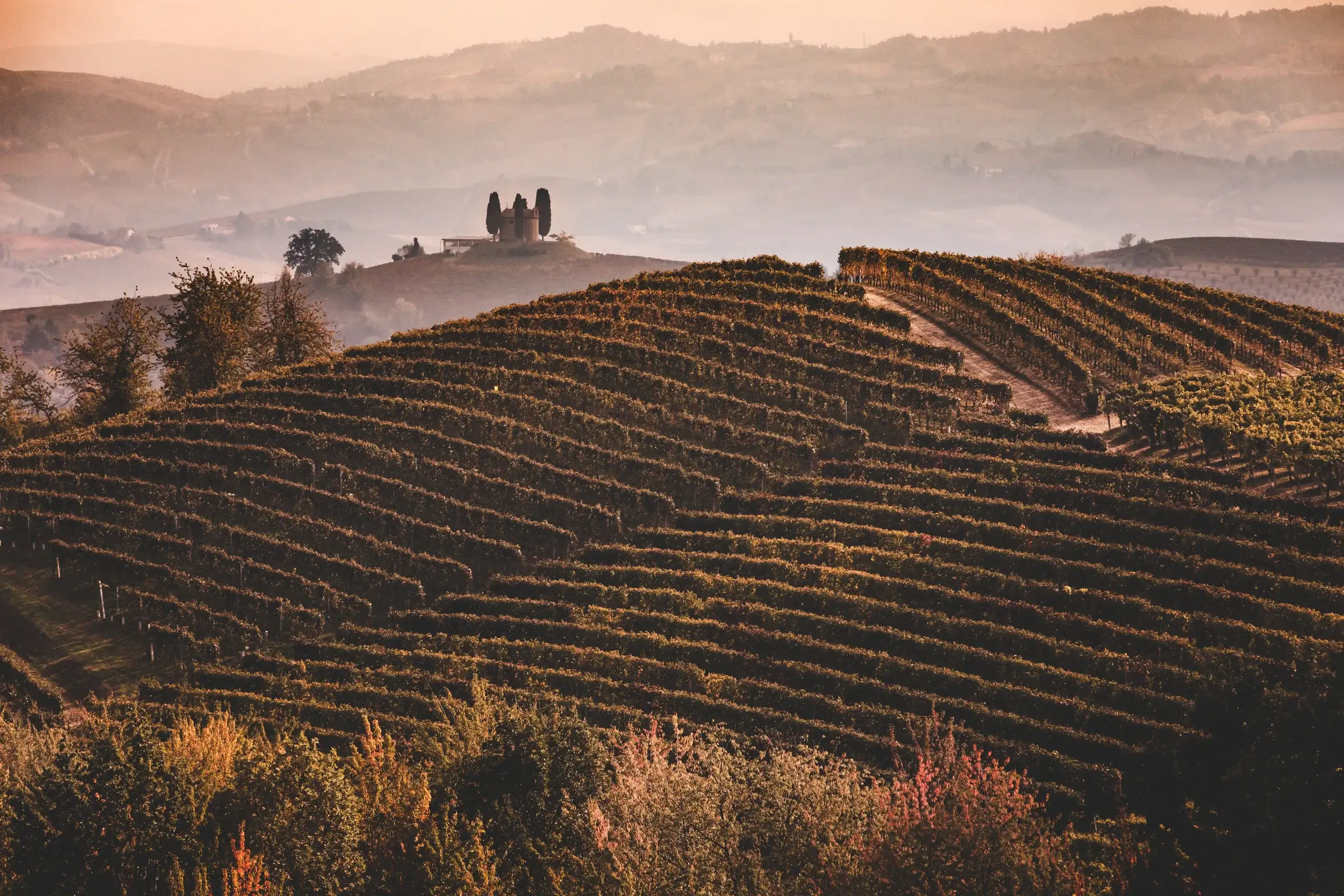 Die Hügel des Monferrato