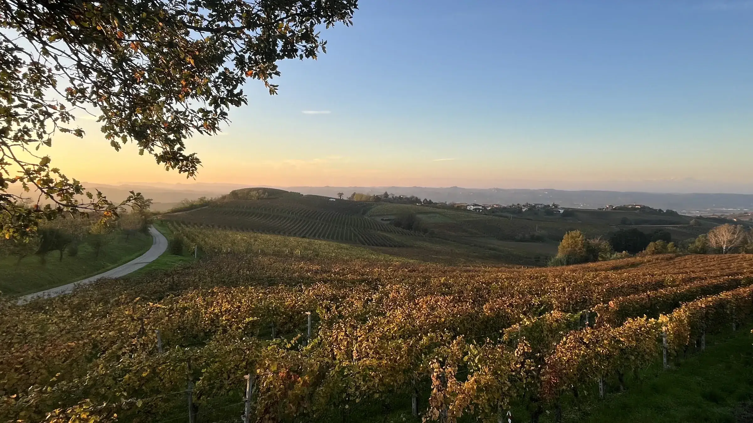 Die Hügel des Monferrato